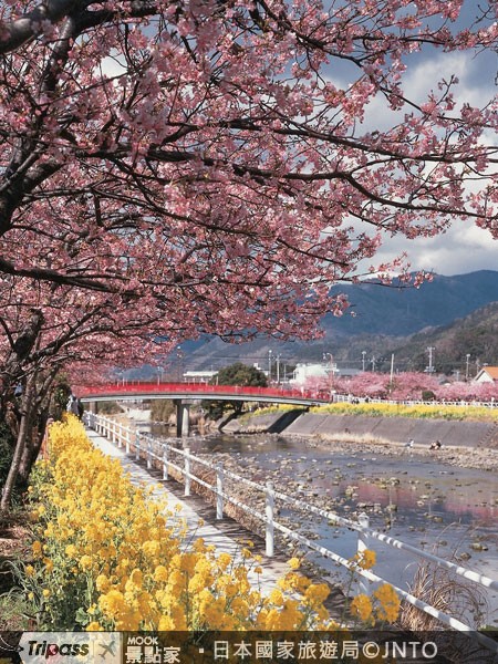 河津七瀧橋