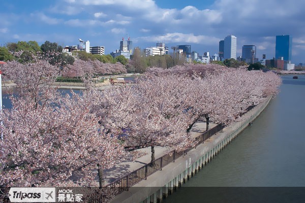 大川河岸公園