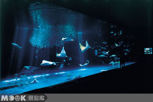 九州::鹿兒島水族館
