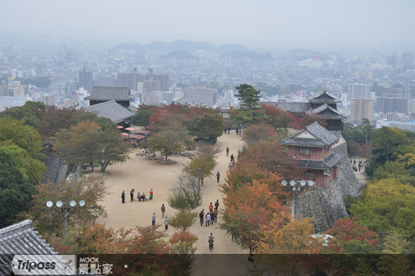 從天守閣向下望的松山市美景