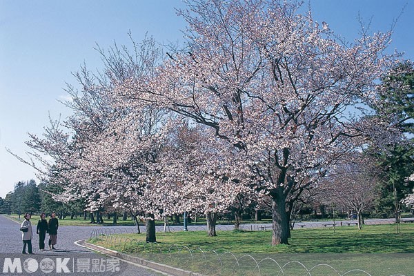 京都御苑