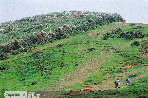擎天崗向來是大台北地區知名的踏青、賞月景點。