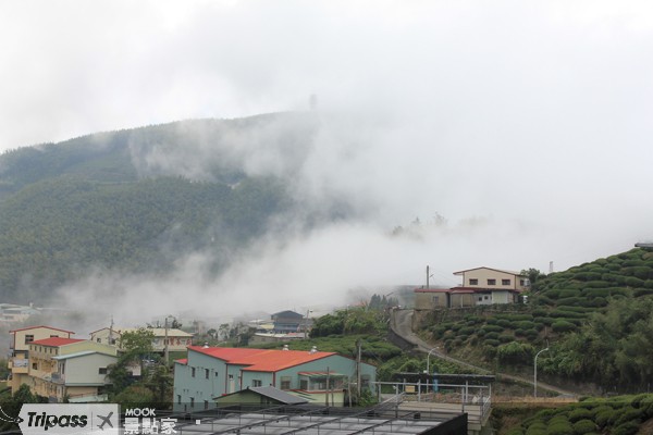 阿里山四季分明，雲霧景色迷人。