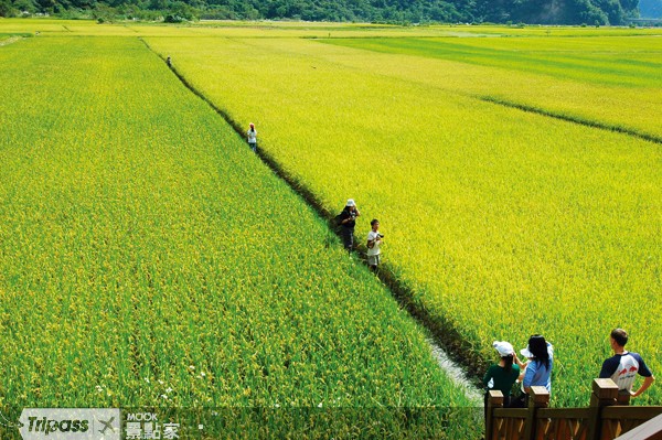 花蓮的好山好水令人心曠神怡。