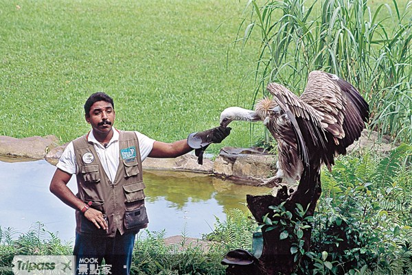 點擊看【裕廊飛禽公園】景點介紹