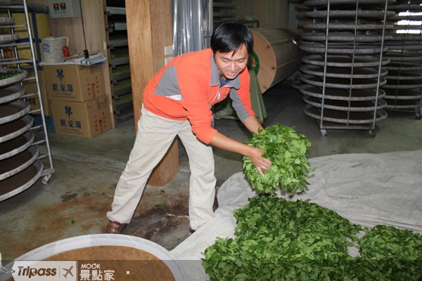 點擊看【生力農場】景點介紹