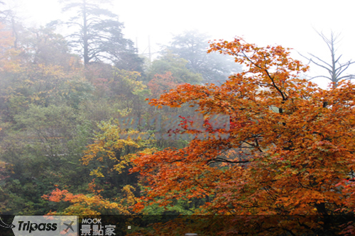 四川的秋季景緻也是相當迷人。（圖片提供／四川旅遊網）