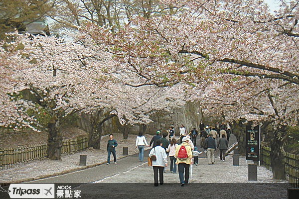 點擊看【鶴城公園】景點介紹