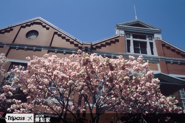 大阪的造幣局是著名的賞櫻地點。