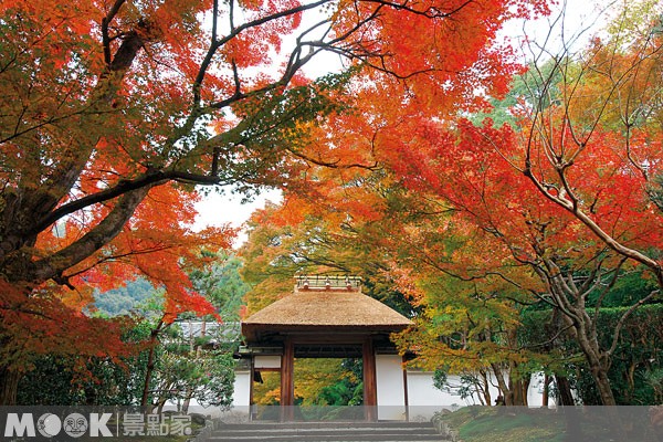 京都::安樂寺