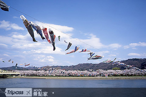 空中飄揚著鯉形旗。圖片提供/北上観光協会