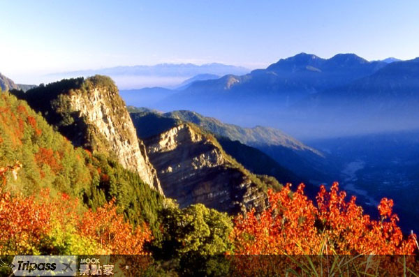 阿里山是台灣人心目中的人間仙境。圖片提供/觀光局
