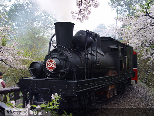 阿里山老火車頭。圖片提供/台灣休閒旅館協會
