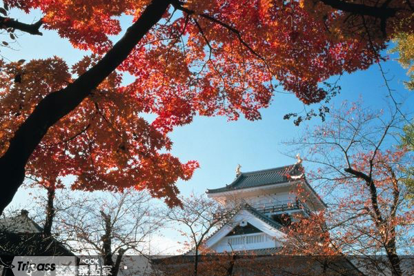 日本東北的上山城楓葉。圖片提供/日本國家旅遊局