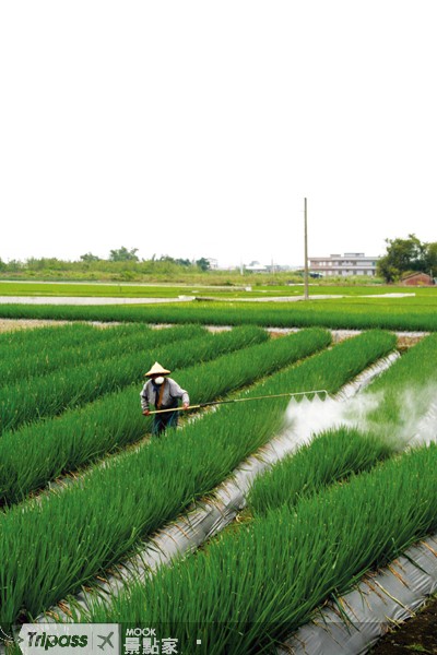 點擊看【宜蘭 天送埤休閒農業區】景點介紹