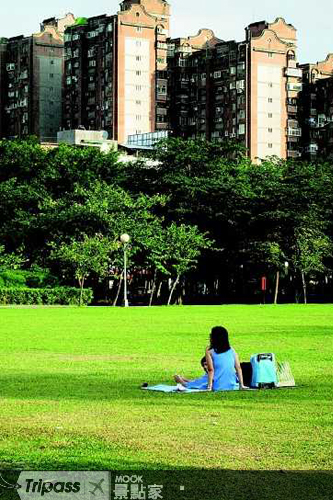 大片的綠地及公園，在現代都市中越來越難找到。
