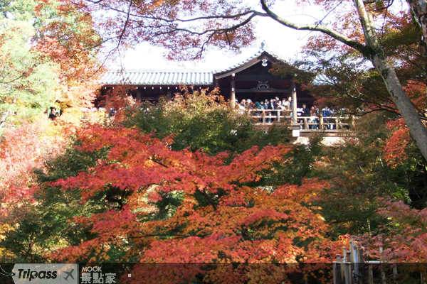 東福寺通天橋的楓紅盛況。（圖片提供／鳳凰旅遊）