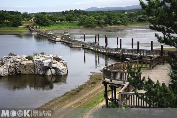 點擊看【蘆野公園】景點介紹