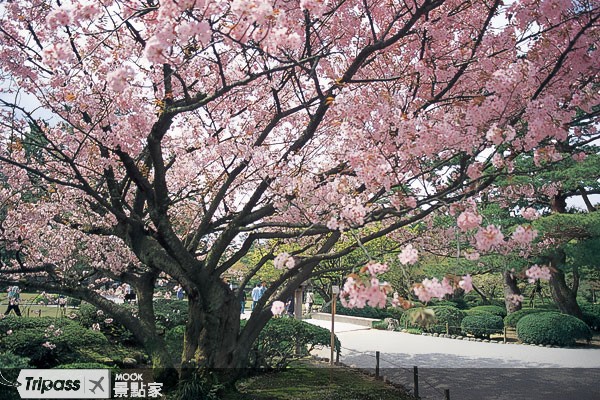 點擊看【兼六園】景點介紹