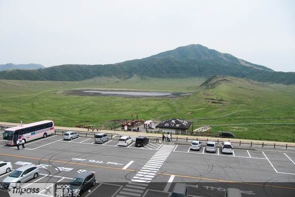 阿蘇火山灰的量極大，適合植物生長。