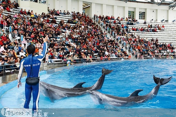 海洋公園