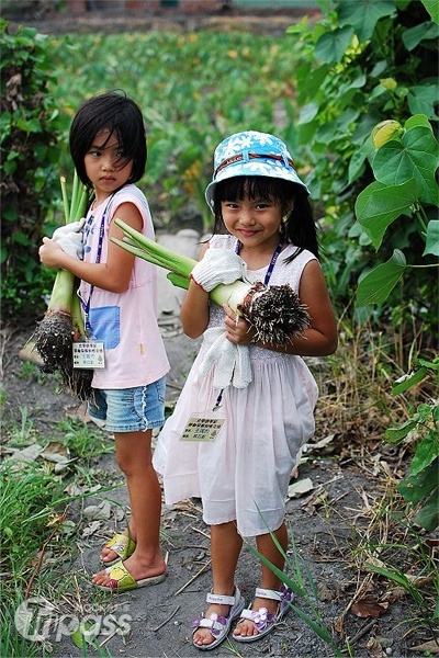 農業體驗是寓教於樂的充實暑假活動。（圖片提供／行政院農業委員會）
