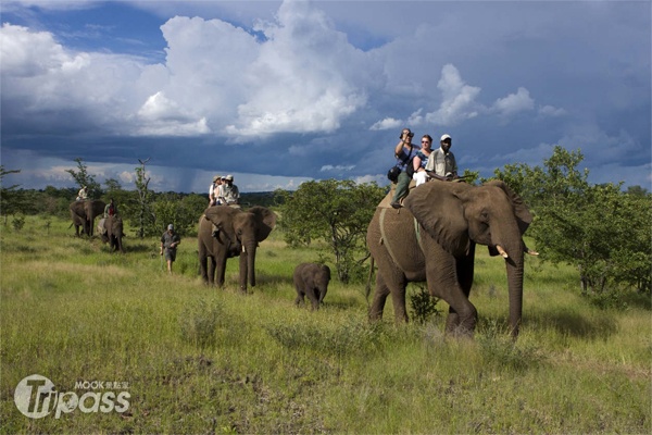 騎大象日出獵遊。（圖片提供／易遊網）