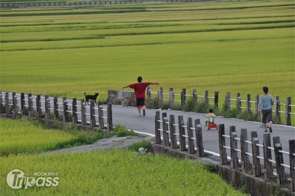 伯朗大道是一條筆直的鄉村道路。