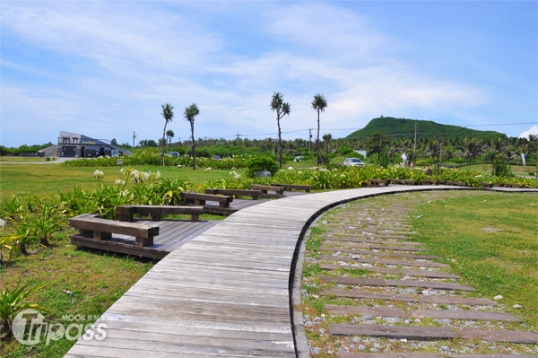 沿著步道可欣賞當地濱海植物