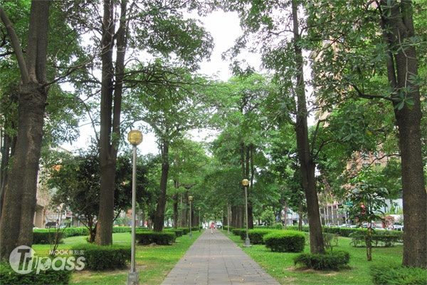 綠意盎然的草悟道。（攝影／景點家池冰蕙）