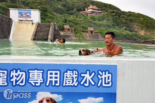 台灣少見的寵物專用戲水池，即日起開放了！