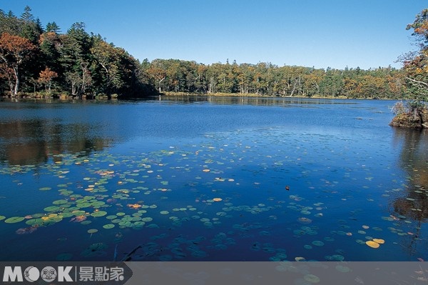 知床五湖被聯合國教科文組織列為「世界自然遺產」之一。