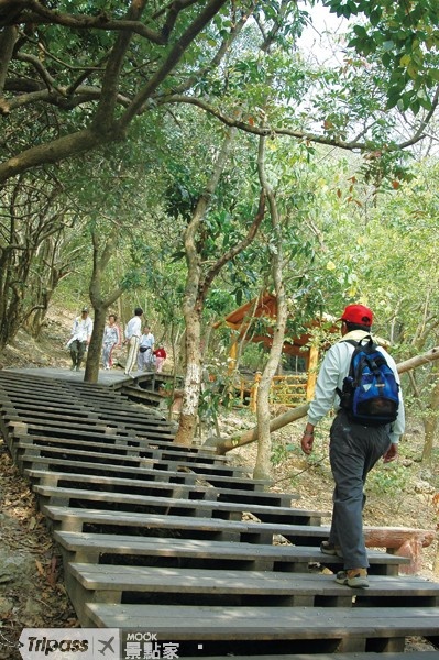 響應世界健行日，假日就貼近大自然，樂活登山去！圖為高雄柴山步道。（圖片提供／墨刻編輯室）