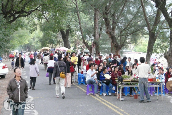 鹿寮咖啡節暨假日市集將在武陵綠色隧道舉行。（圖片提供／仙人掌鄉土工作室）