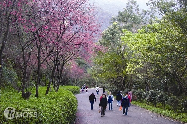 綠意盎然的仁山植物園。（圖片提供／中山休閒農業區發展協會）