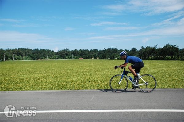 透過台灣盃國際公路邀請賽的舉辦，將台灣優美的騎車環境介紹到國際。（圖片提供／捷安特）