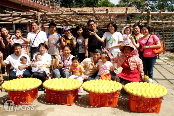 現在正是柿子盛產的時候，各產地皆有推出採果品柿的旅遊活動。（圖片提供／農業易遊網）