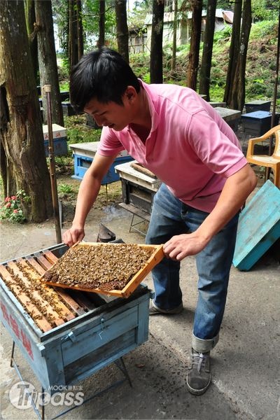 向天湖養蜂人家現場示範養蜂的祕訣。（攝影／景點家江明麗）