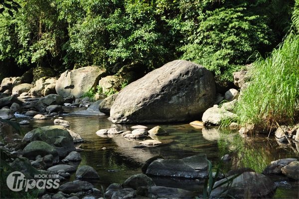 仔細觀察這塊巨石，像不像蛇首呢？（攝影／景點家江明麗）