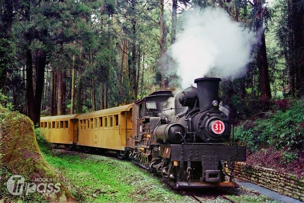 阿里山最有名氣的31號蒸汽火車及檜木車廂將在25日當天現身。（圖片提供／林務局嘉義林區管理處）