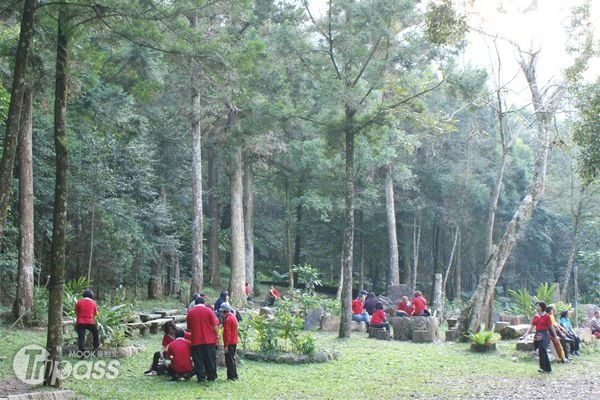 惠蓀林場擁有多樣的植物種類，適合民眾來趟生態體驗之旅。（攝影／景點家劉佳雯）