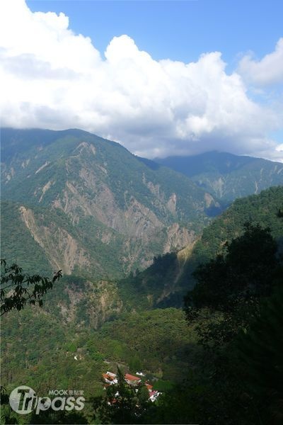 林場內規劃有不同的步道，其中的森林浴步道可以俯瞰山谷的美麗景色。（攝影／景點家劉佳雯）