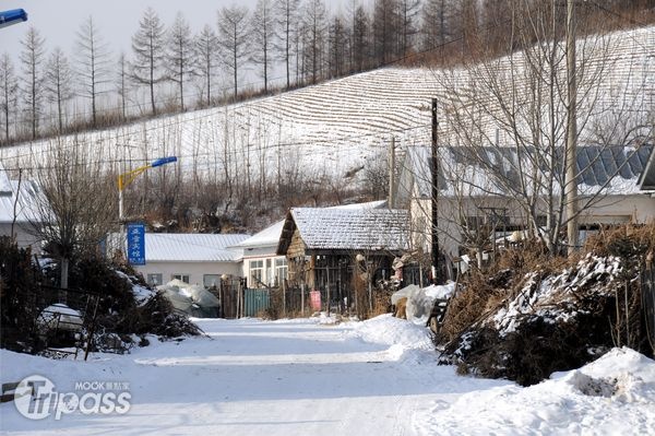 亞布力恬美的農村景觀。（攝影／景點家李欣怡）