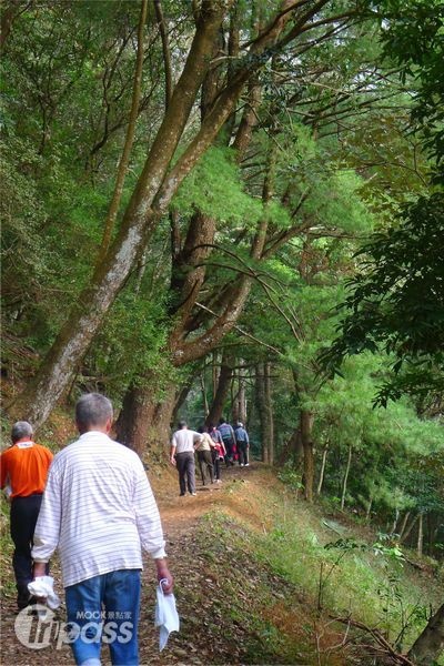 林場內規劃有5條不同的健行步道，讓民眾享受森林浴。（攝影／景點家劉佳雯）