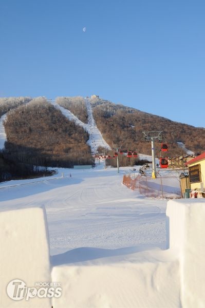 白雪自山頂傾瀉而下，形成一條Y字型雪道。（攝影／景點家李欣怡）