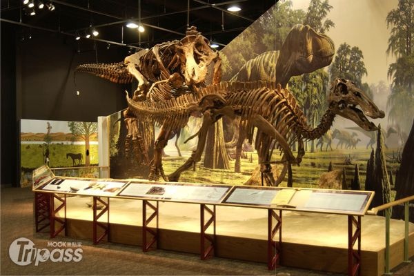 想探索恐龍豐富的歷史，蒙大拿州是個極具代表的地方。（圖片提供／美國蒙大拿州政府亞太區辦事處）