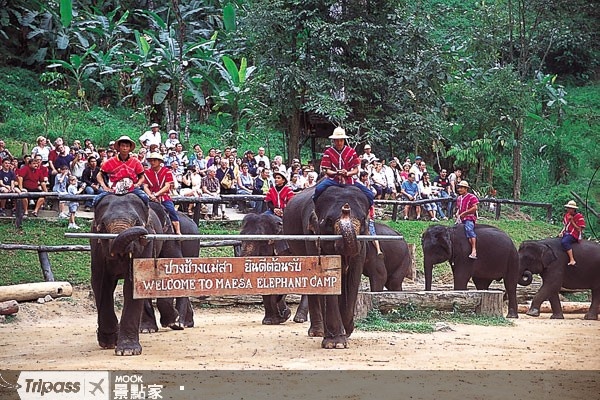 梅沙大象營的園區內設有大象醫院，也有提供旅客體驗當象夫的活動。（圖片提供／墨刻編輯部）