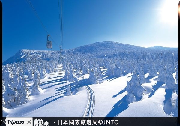 東北地區的宮城縣藏王町，在冬季能欣賞到自然奇景──樹冰。（圖片提供／墨刻編輯部）