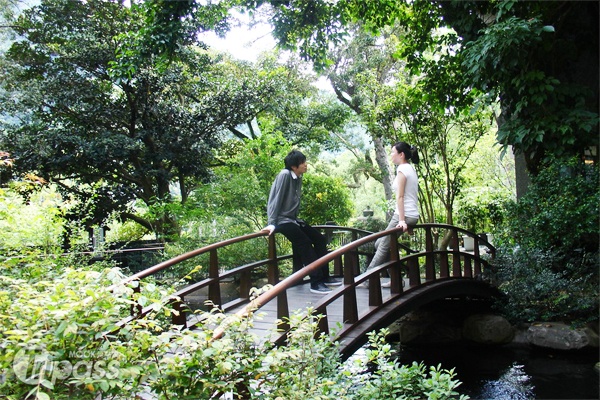 在森林裡呼吸芬多精，體驗閒逸的渡假氣氛。（圖片提供／大板根森林溫泉渡假村）