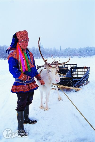 冬季的極圈正是旅遊旺季，欣賞極光、滑雪、搭乘哈士奇雪橇及馴鹿探險都很受歡迎。（圖片提供／墨刻編輯部）